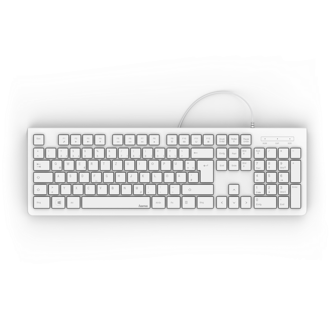 Druckfähige Abbildung 4