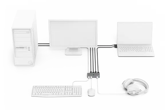 Angeschlossene Switch